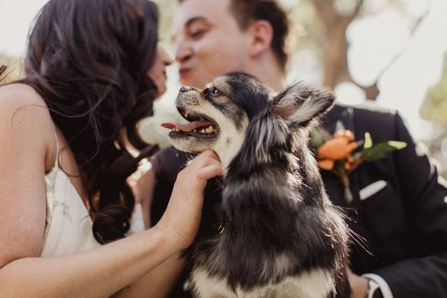 Yes! We really love pups!