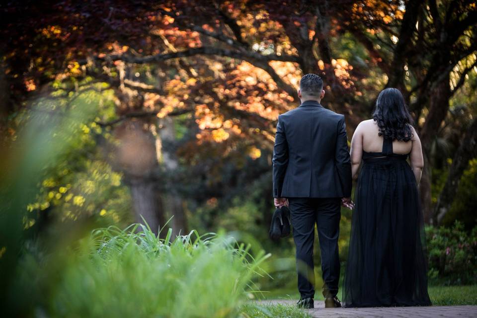 Walking through a sunlit grove