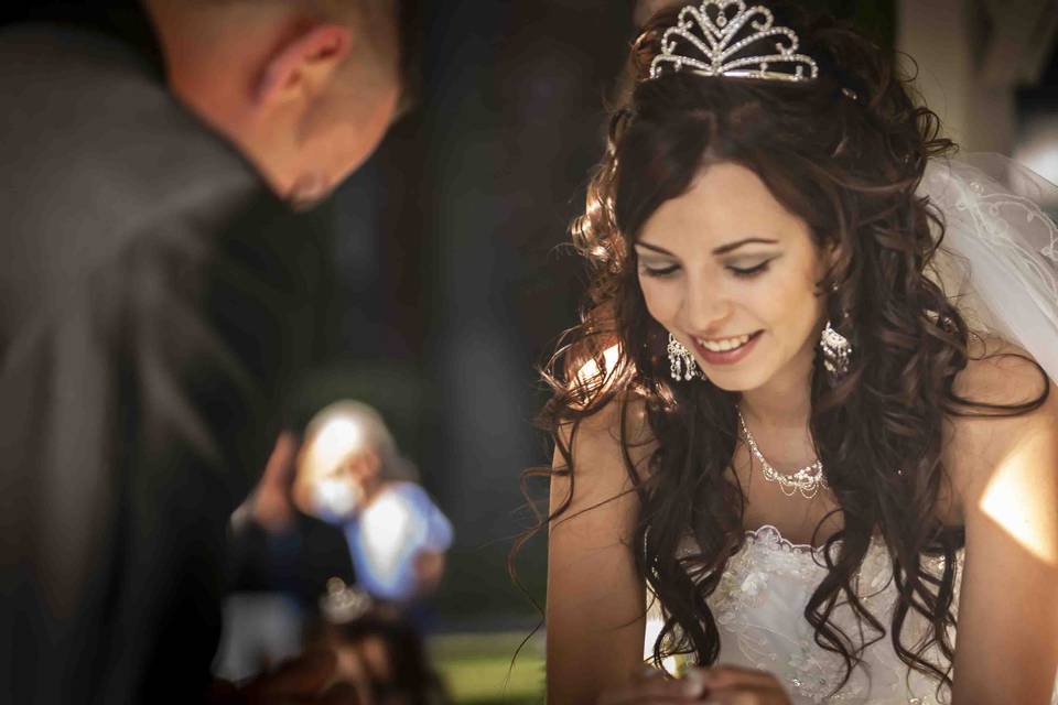 Wedding Gallery