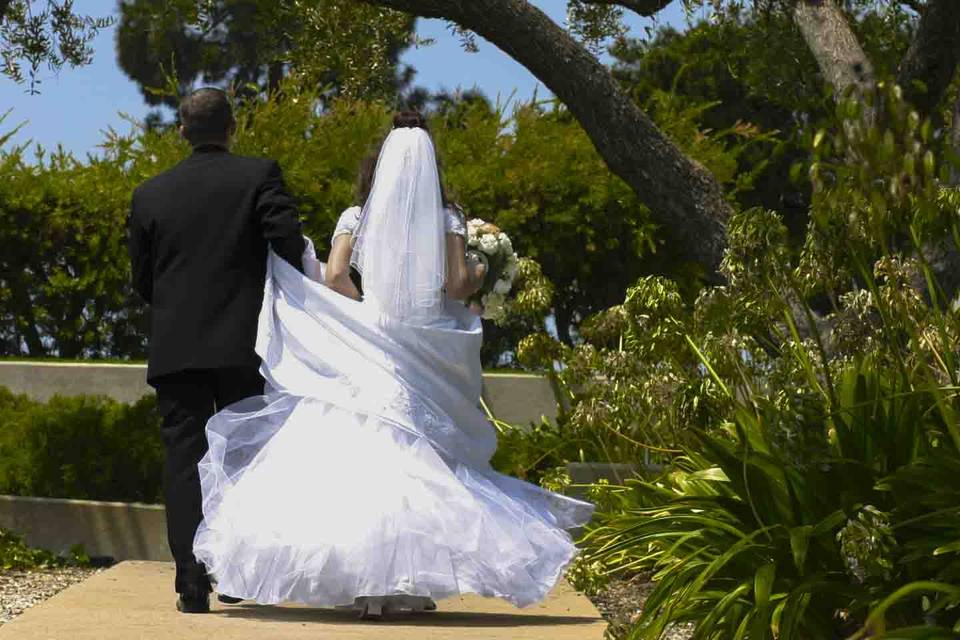 Wedding Gallery
