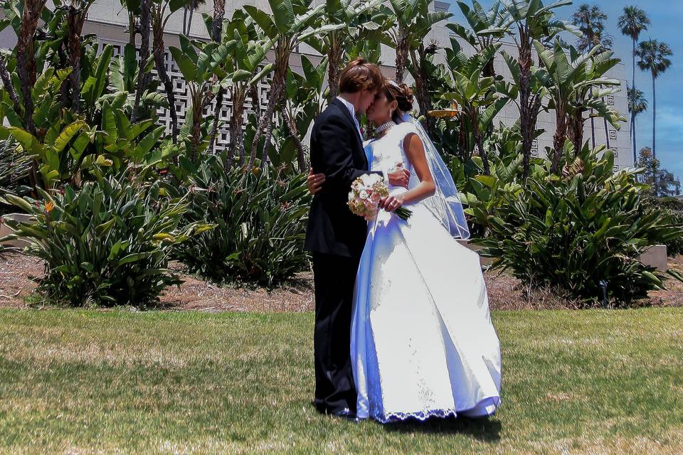 Wedding Gallery