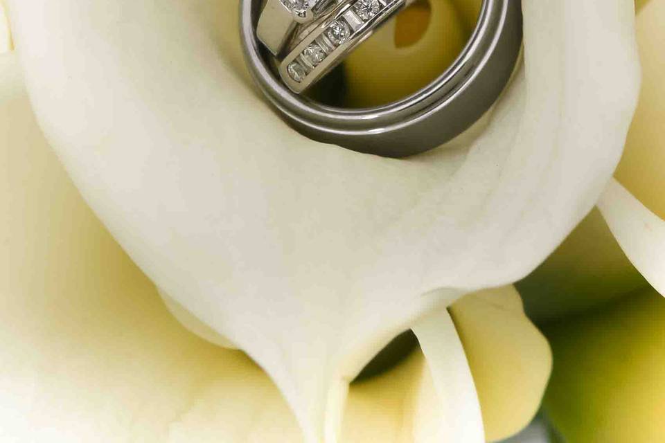 Wedding Gallery