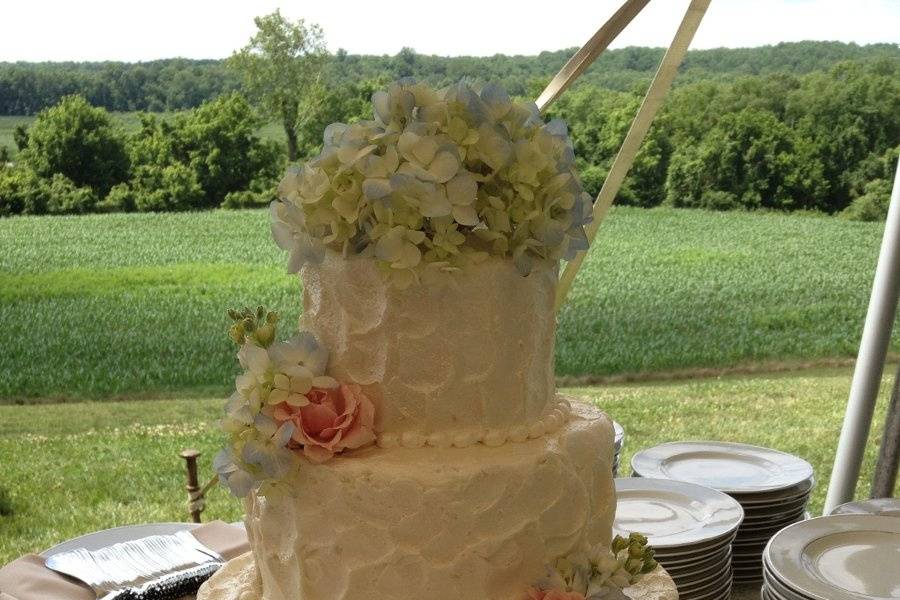 Textured cake