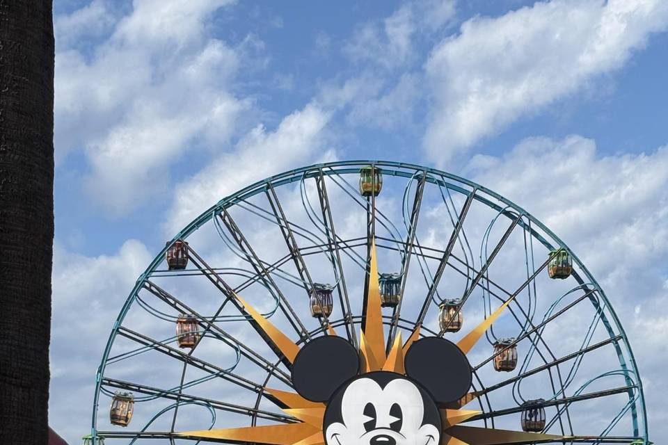 Disneyland