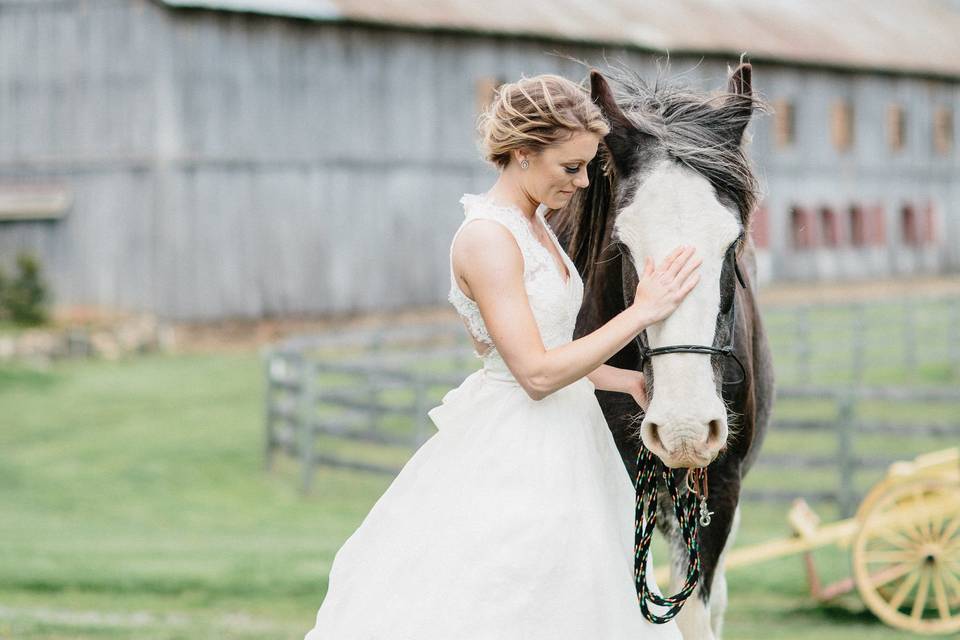 The Poplar Barn is the largest in Loudoun County and seats up to 450 people