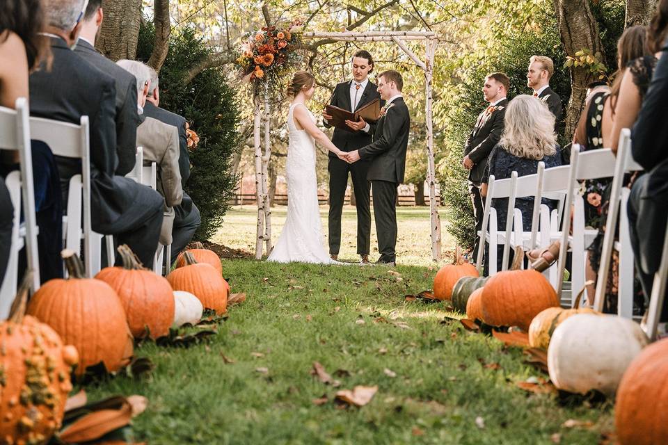 Fall by the Pond