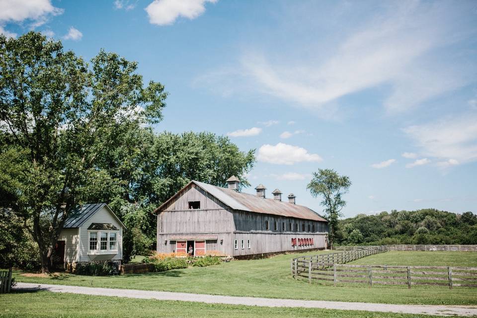 Poplar Barn in June