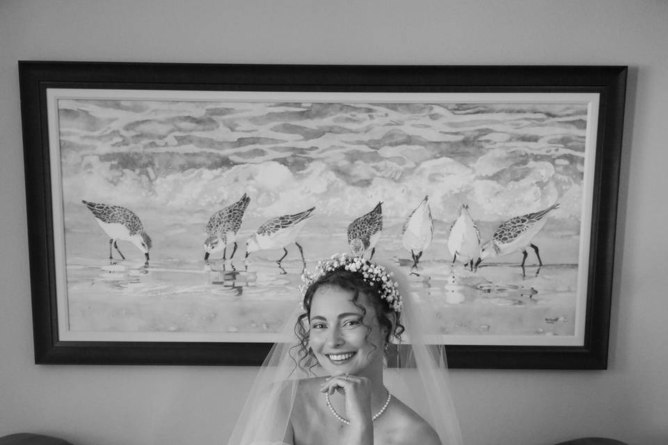 Misty Miotto Photography