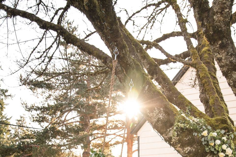 Bride on the swing