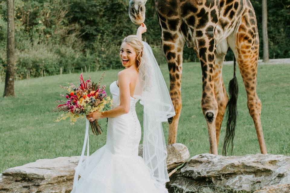 Billi Cate Photography