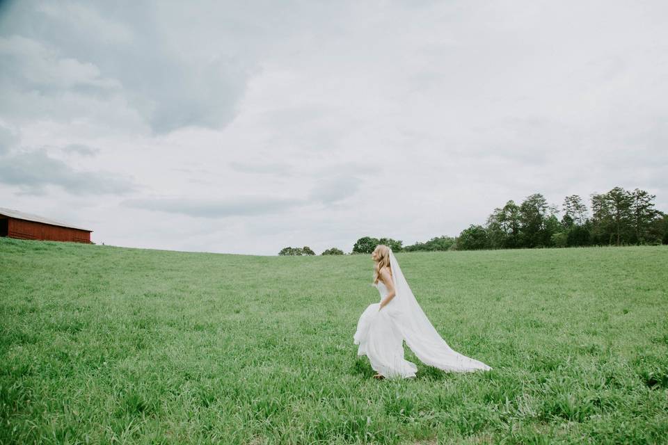 Billi Cate Photography