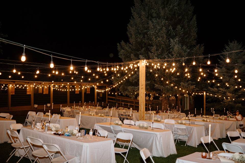 Canopy of lights reception