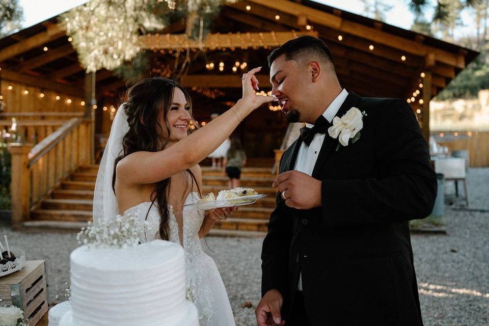 Cake cutting
