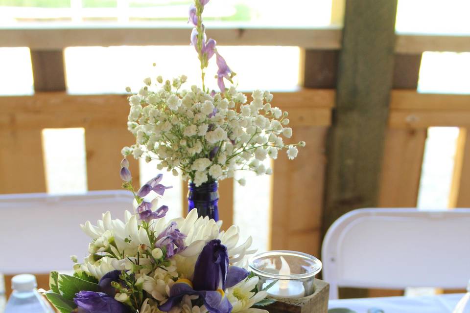 Paradise Ranch Events