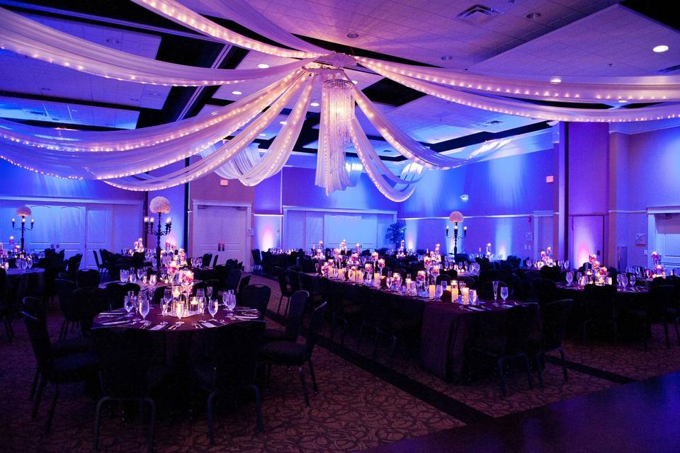 Silver and Purple Reception