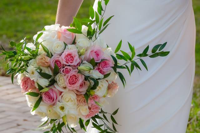 20250308.8386.jpg