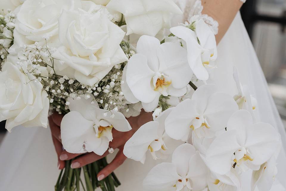 Alisha Tova Photography