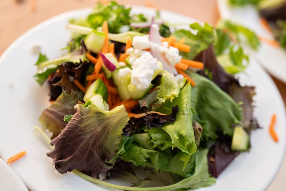 Salad plates