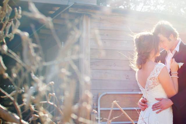 Jazzlyn Springs Photography