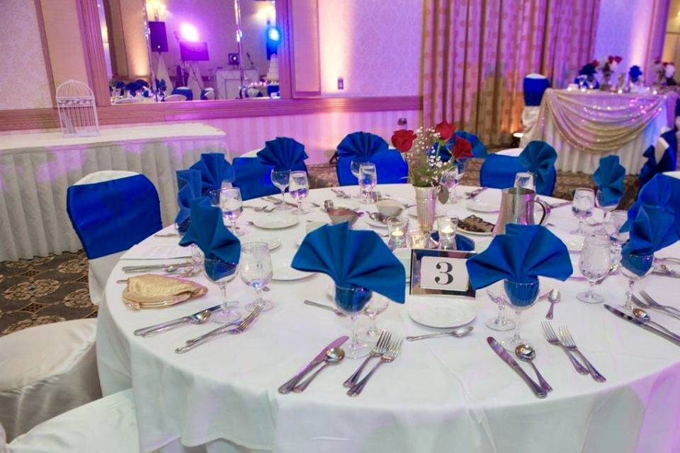 Reception set-up