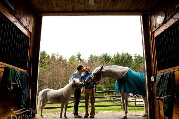 Engagement photo - Private Residence, NH