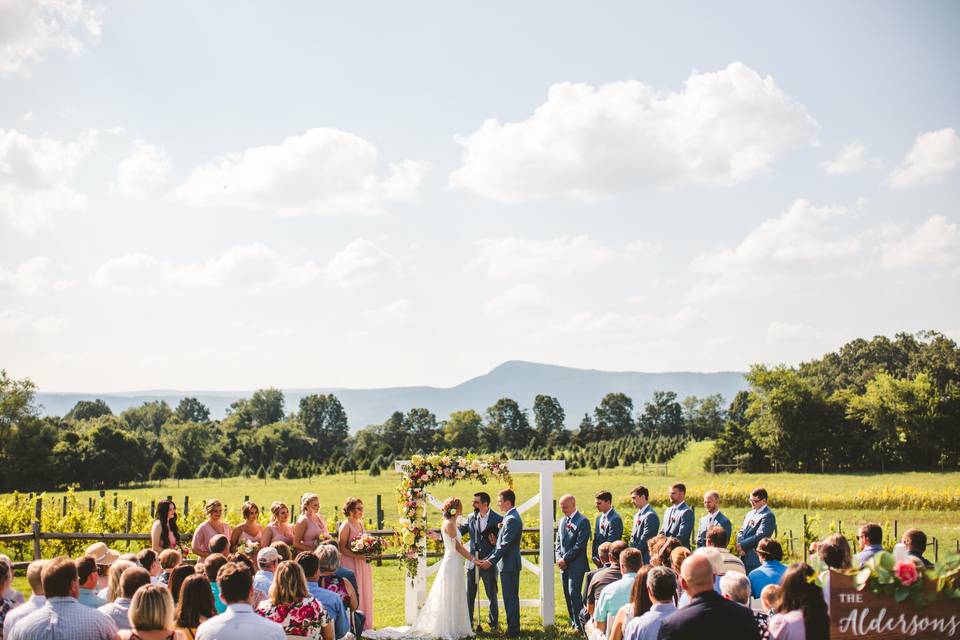 Faithbrooke Barn and Vineyards