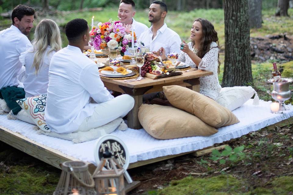 Luxury Picnic with Friends