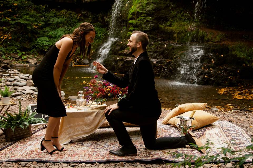 Proposal Picnic - Waterfall