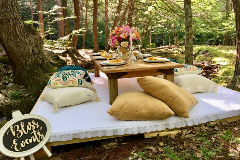 Luxury Picnic by Bliss Events