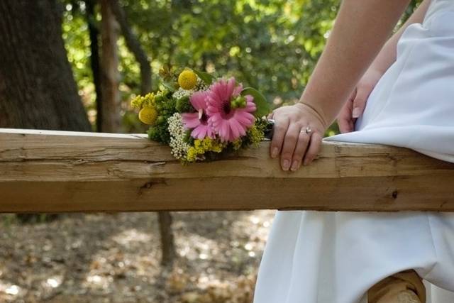 Laura Snider Photography
