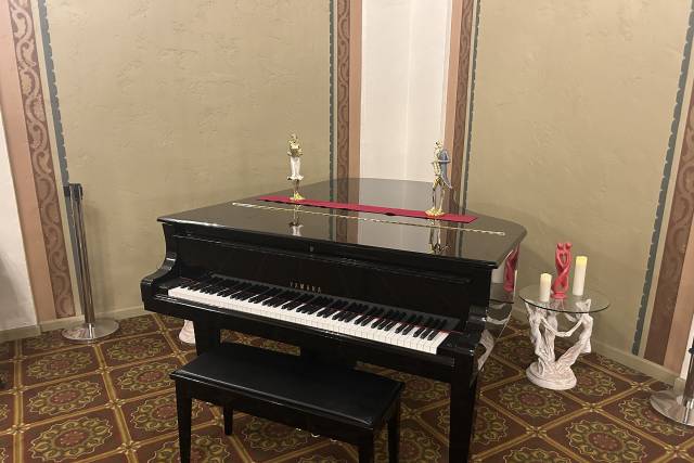 Self-playing Grand Piano