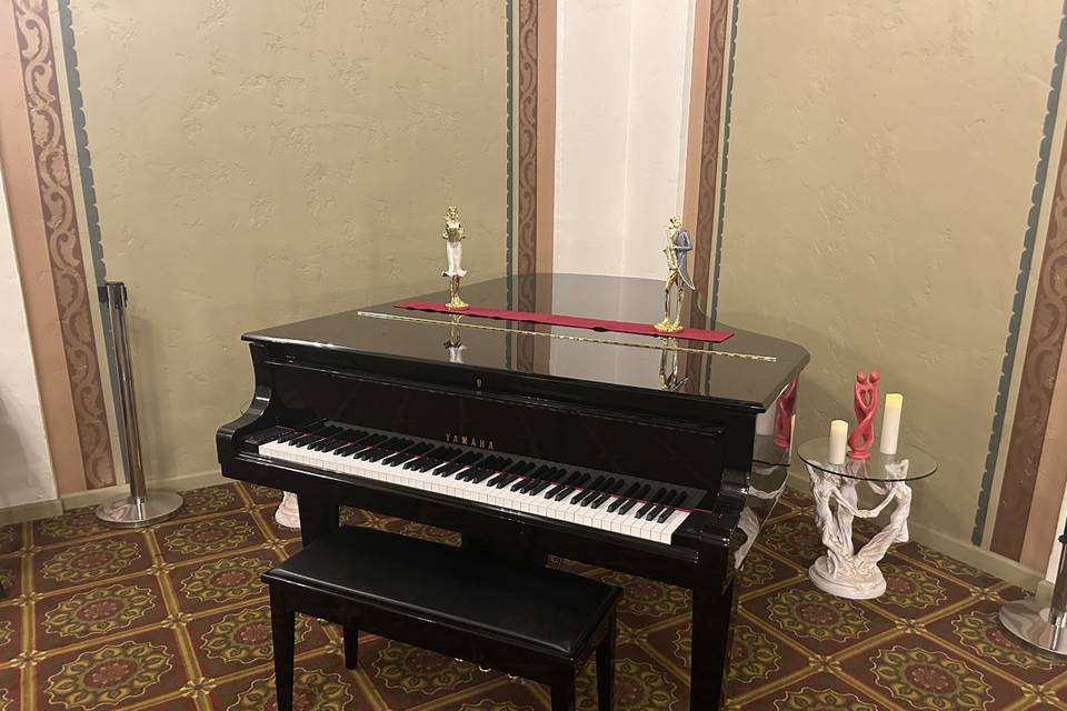 Self-playing Grand Piano
