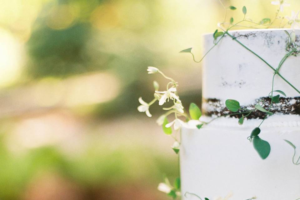 Nearly naked wedding cake