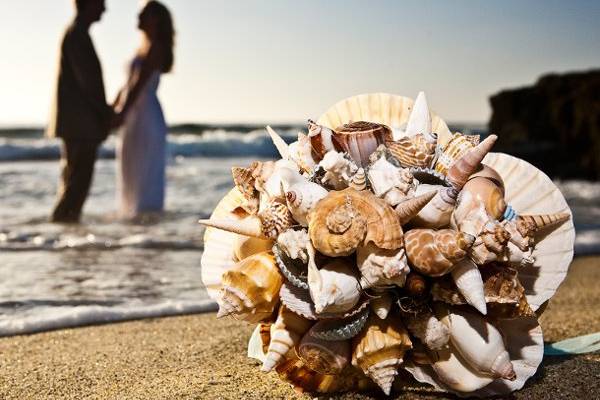 Fiesta Flowers, Plants & GiftsE & M Wedding /Seashell Bride BouquetPhoto taken by Tosh Imagery