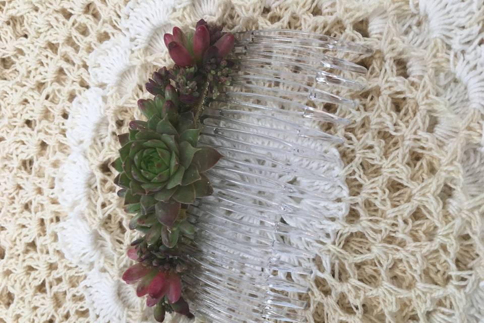 Succulent hair comb