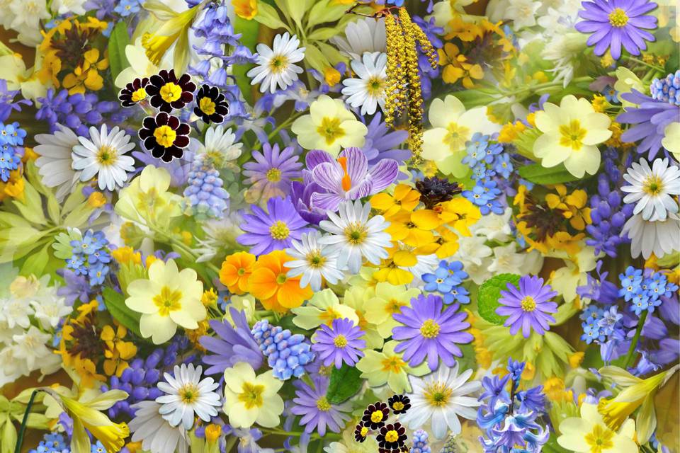 Flower Options