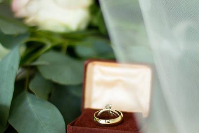 Kevin Thomas Photography