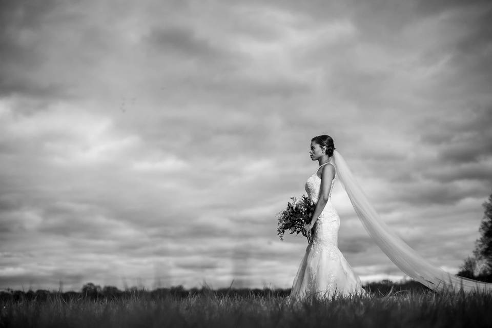 Kevin Thomas Photography