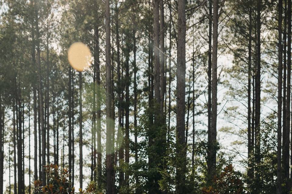 Photo by Leslie DeAnn