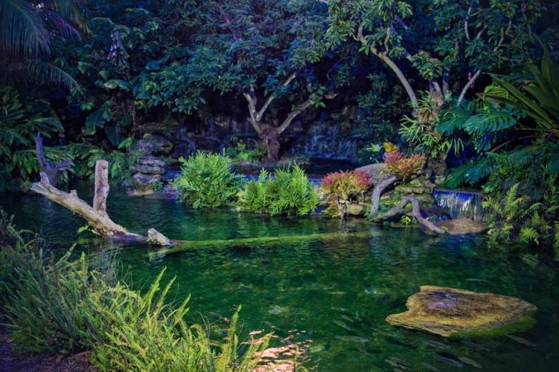 A nice lagoon