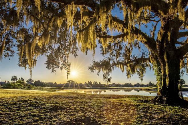 Kissimmee Bay Country Club