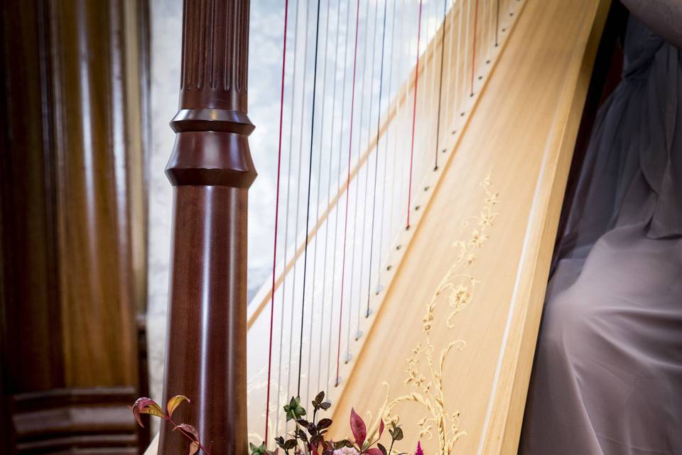 Mary Keener, harpist