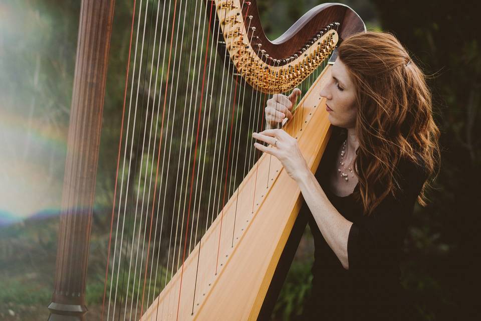 Harpist - Mary Keener