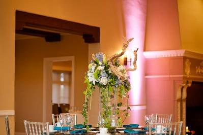 Blue table cloths