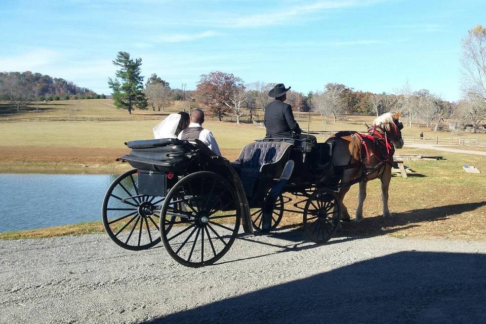 Bride and Groom rides away