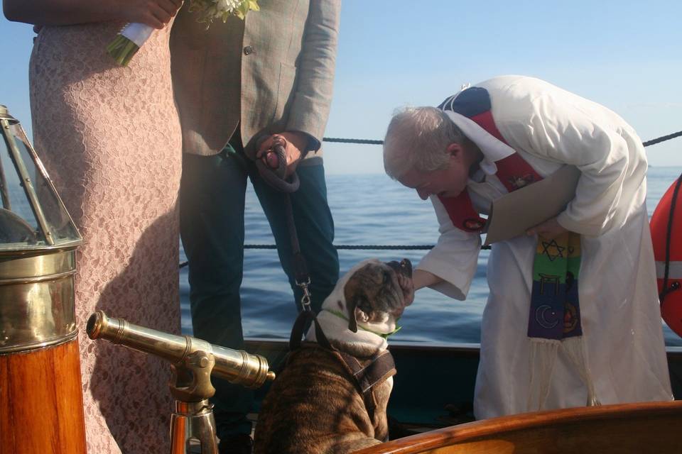 Meatloaf the bulldog gets attention after the wedding on the Schooner Hindu.