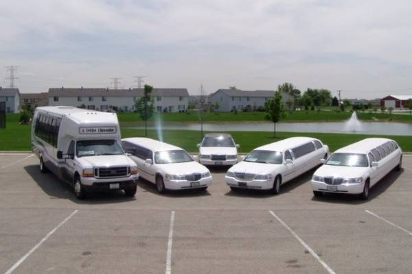 Some of our limos