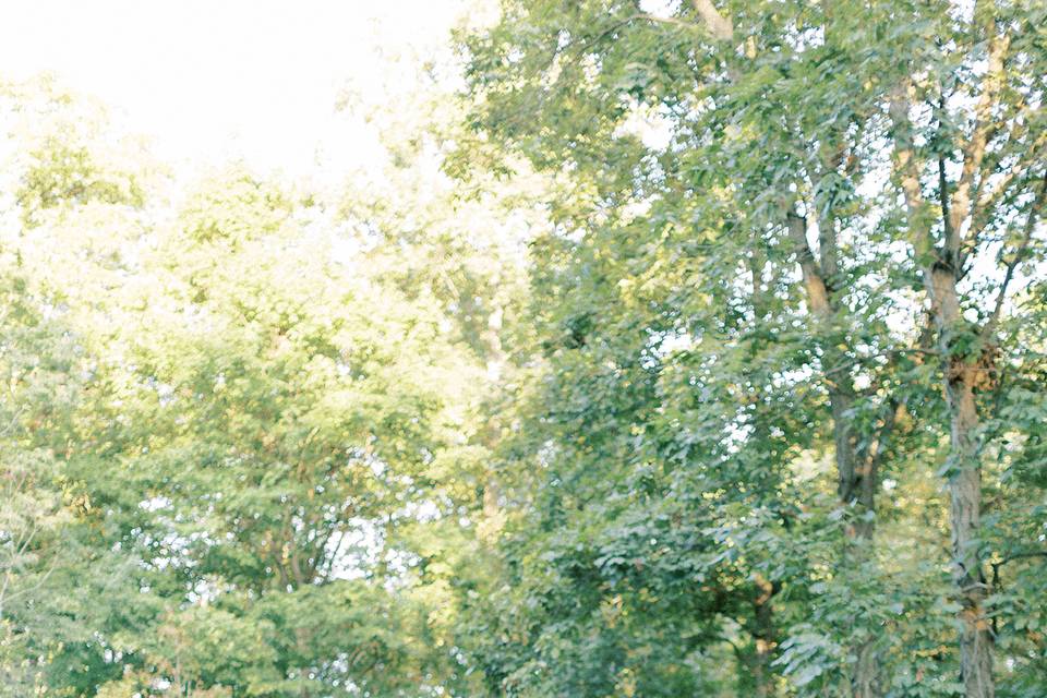 Beautiful Summer Wedding