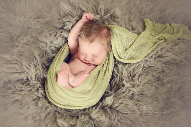 Redhead Photography LLC
