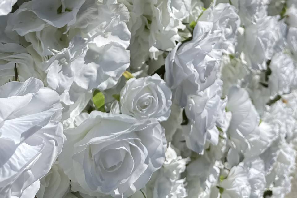 Pure Enchantment